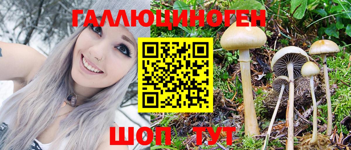 Шарыпово  Псилоцибиновые грибы Psilocybine cubensis  цена наркотик  Вход с VPN 